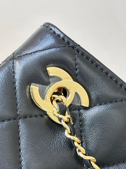 2026 Spring/Summer Collection Small Tote Bag in Black Fine Lambskin AS6248-B24030-94305